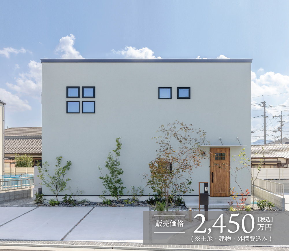 5号地