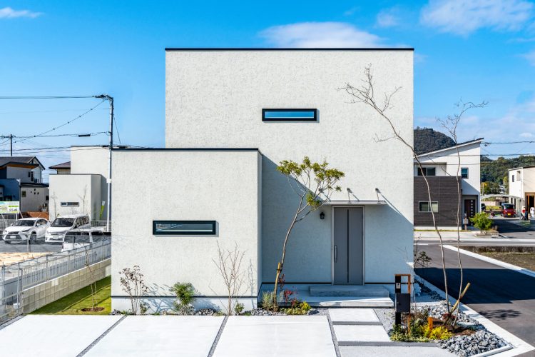 1号地