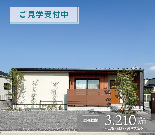 2号地