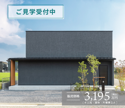 8号地
