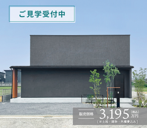 8号地外観