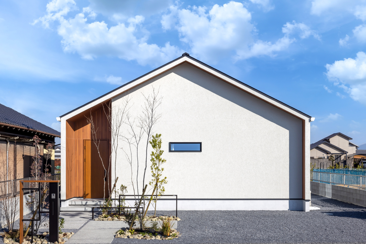 1号地