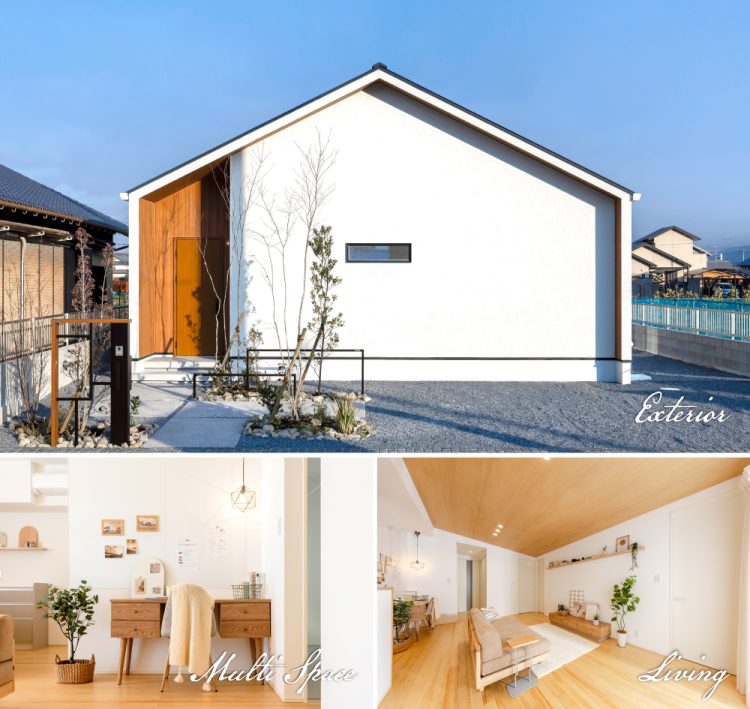 モデル情報_1号地