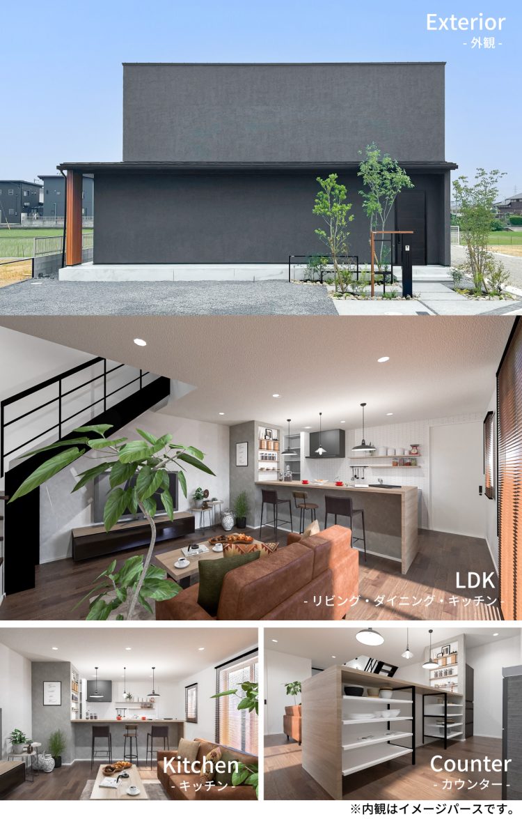 モデル情報_8号地
