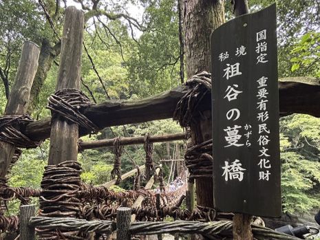 山の中はもう秋でした🍃