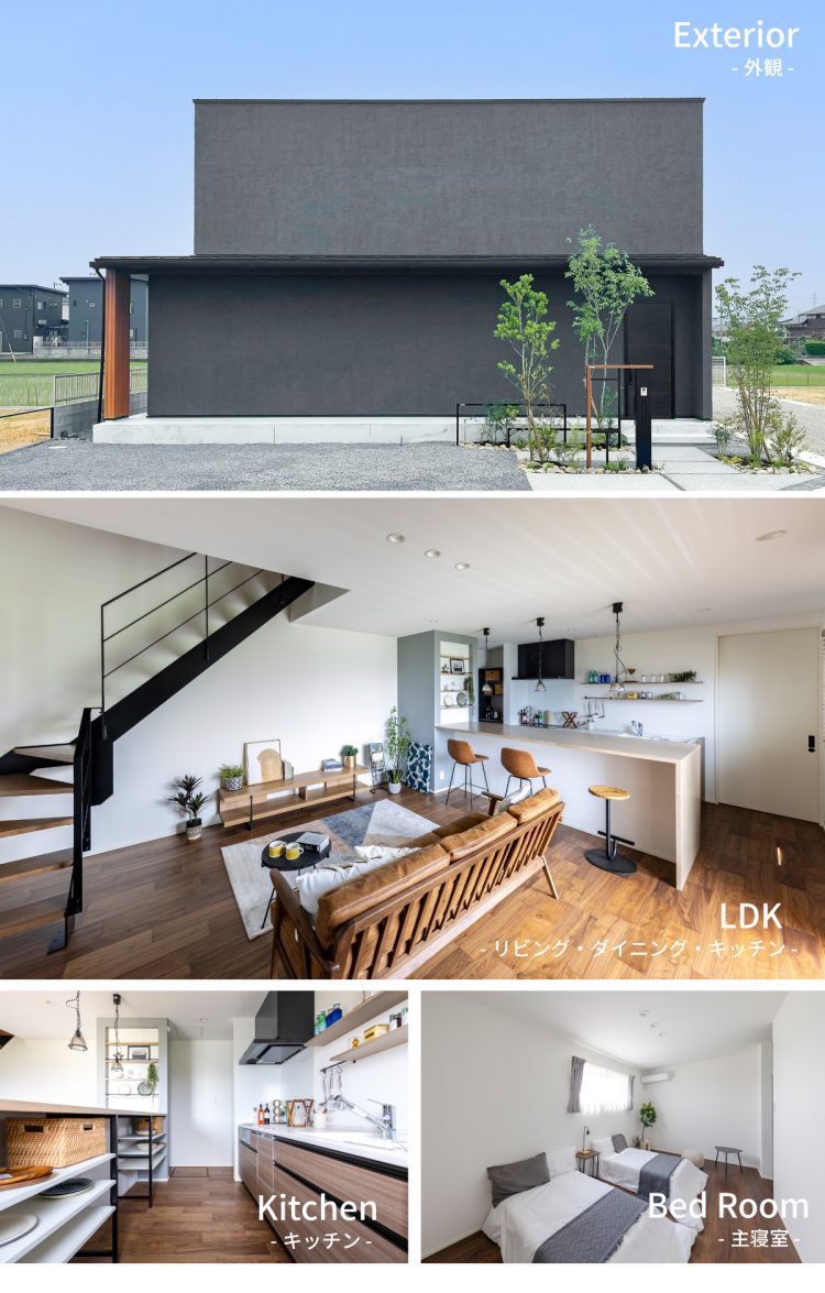モデル情報_8号地