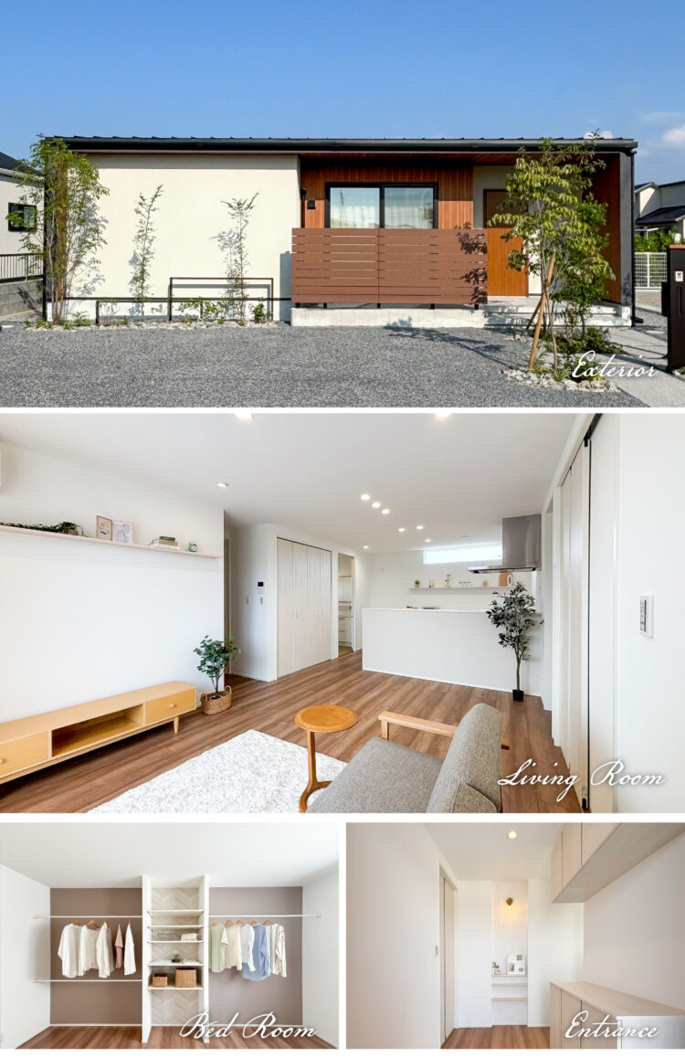 モデル情報_2号地